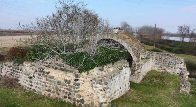 Ovanın ortasında tarihi hamam: Ocağına incir ağacı dikilmiş