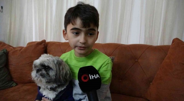 Pendikte okula giden 10 yaşındaki çocuğu sokak köpekleri saldırdı
