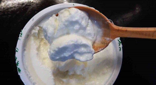 Prof. Dr. Arıca: ”Probiyotikler alzheimer riskini azaltıyor”