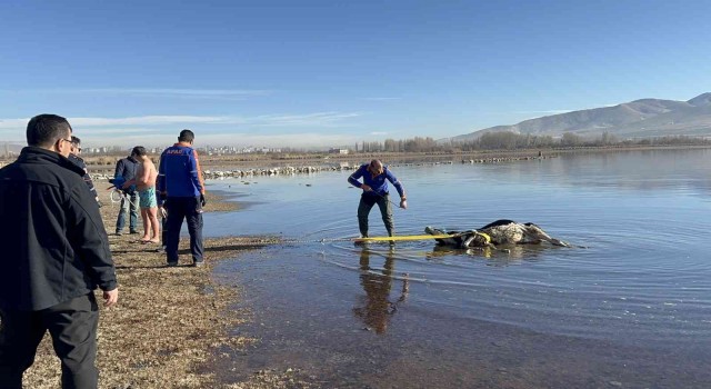 Sahibinden kaçtı, barajda boğuldu