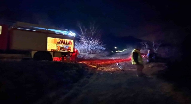 Sakaryada orman yangını