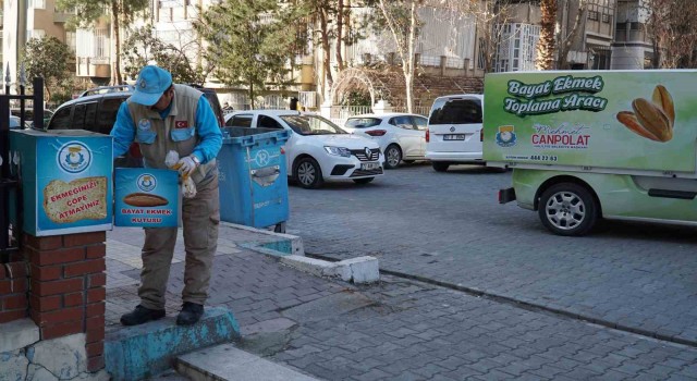 Şanlıurfada günlük yarım tonluk ekmek israfı önleniyor
