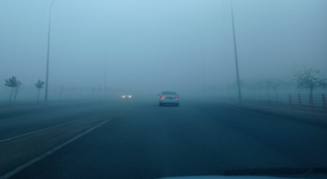 Şanlıurfada yoğun sis etkili oldu