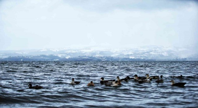 Sapanca Gölü için rahatlatan açıklama