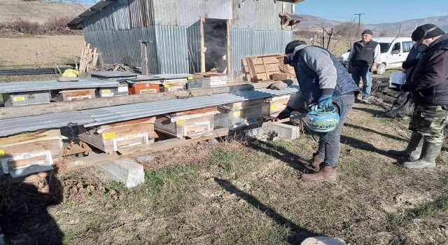 Sebende arı kenesine karşı ilaçlama yapıldı