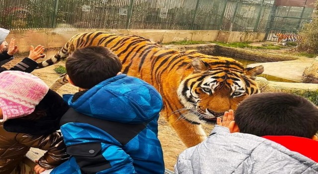 Sevgi evlerinde kalan çocuklar ara tatilde doyasıya eğlendi
