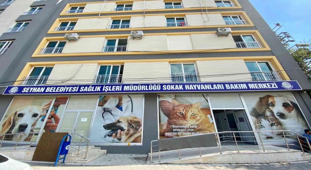 Seyhanda bin 236 sokak kedisini ücretsiz olarak kısırlaştırdı