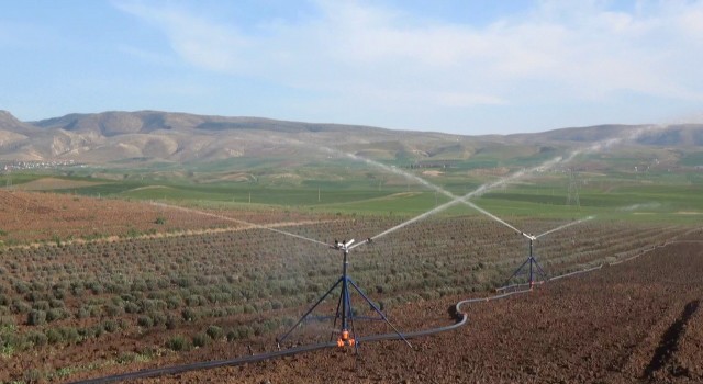 Siirtli çiftçilere yüzde 75 hibe desteği verilecek