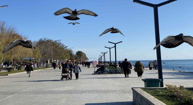 Sinopta kış ortasında yaz havası