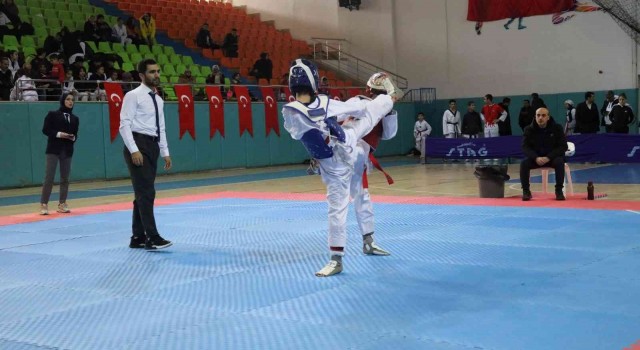 Taekwondo il şampiyonası Elazığda başladı