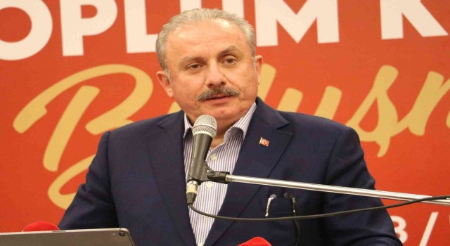 TBMM Başkanı Şentoptan Prens Harryye sert tepki: “Avrupalı beyaz çocuk, sen kimsin?”