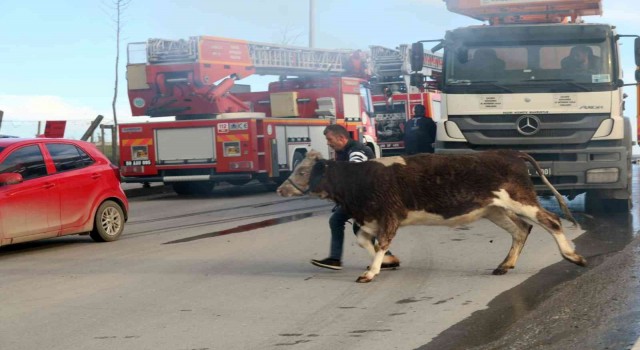 Tekirdağ korkutan yangın