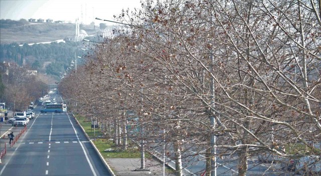 Tekirdağa kıştan önce bahar havası geldi