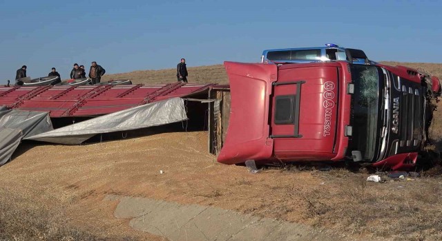 Tır devrildi, tonlarca buğday etrafa saçıldı: 1 yaralı