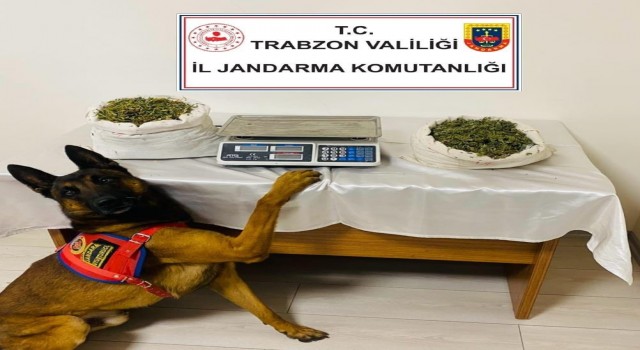 Trabzonda uyuşturucu operasyonu: 1 tutuklama