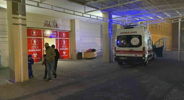 Tüfekle fotoğraf çekmek isterken kazara annesini vurdu