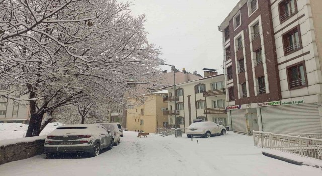 Tuncelide özlenen kar yağışı başladı