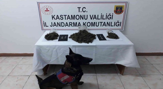 Turşu bidonu ve kavanozlara esrar zulalayan şahıs jandarmadan kaçamadı