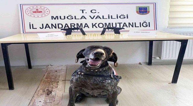 Uygulamada kurusıkıdan bozma 2 tabanca ele geçirildi