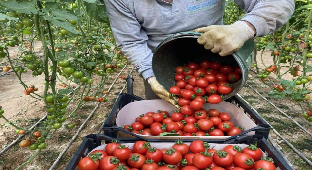 UYMSİBnin 2023 ihracat hedefi 175 milyon dolar