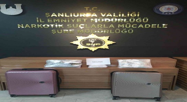 Uyuşturucu operasyonunda 3 gözaltı