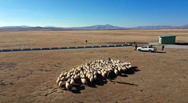 Van Büyükşehir Belediyesinden kırsal kalkınma atağı