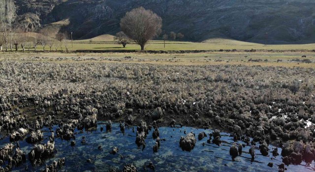 Van Gölünde sular çekildi, su altı peribacaları ortaya çıktı