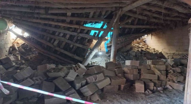 Vanda çöken ahırda 7 küçükbaş hayvan telef oldu
