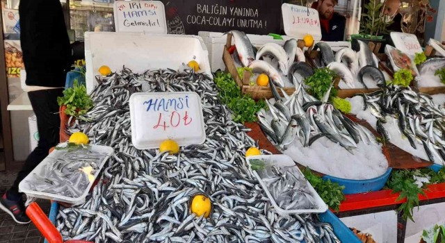 Vatandaşlar fiyatı düşen hamsiye yöneldi