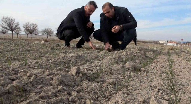 Yağışların yüzde 50 azaldığı Aksarayda kuraklık çanları çalıyor