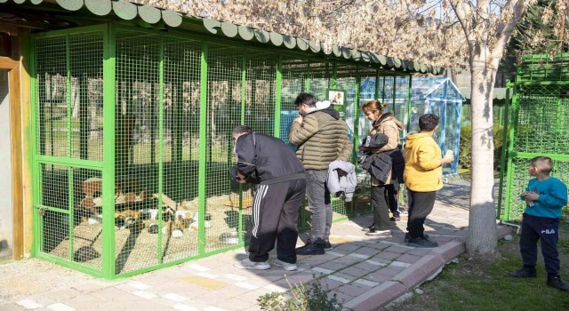 Yarıyıl tatilinde Tarsus Doğa Parkına yoğun ilgi