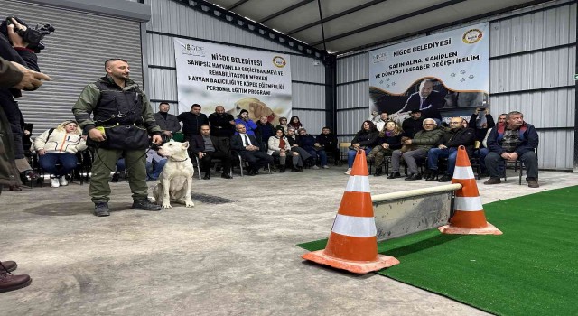 Yasaklı ırk köpeklere ve engelli köpeklere uyum eğitimi