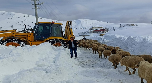 Yaylada koyunlarıyla birlikte 3 gün mahsur kalan çobanı belediye ekipleri kurtardı