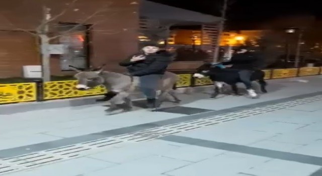 Yeni yılın en ilginç görüntüsü Bayburttan