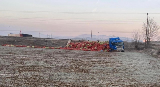 Yoldan çıkan tırın dorsesindeki soğan çuvalları tarlaya saçıldı: 1 yaralı
