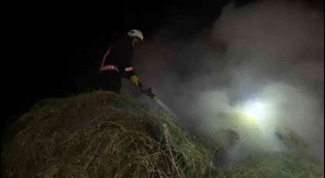 Yüksekovada çıkan yangında 4 bin bağ ot kül oldu