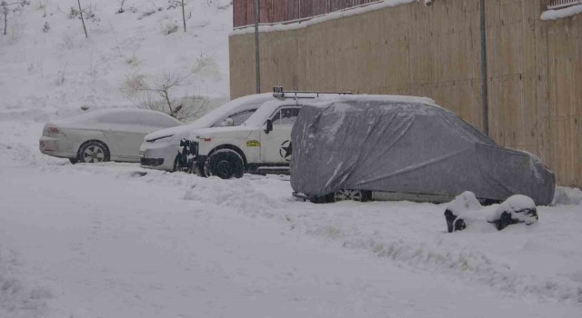 Yüksekovada kar yağışı hayatı olumsuz yönde etkiliyor