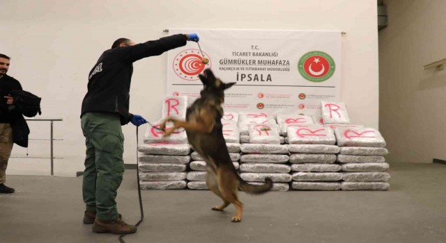 Yunanistandan Türkiyeye giriş yapan tırda 603 kilo 500 gram skunk ele geçirildi