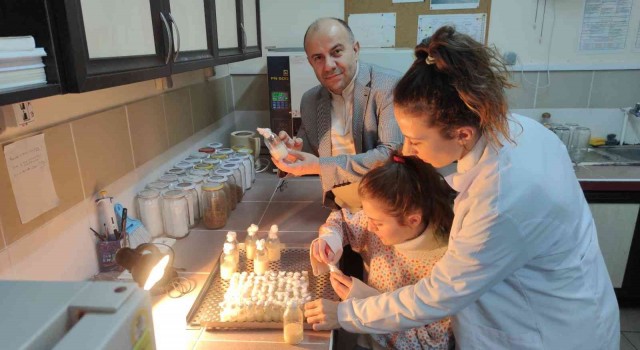 ZBEÜde D vitamini ile ilgili laboratuvar çalışması literatüre yeni bilgiler katacak