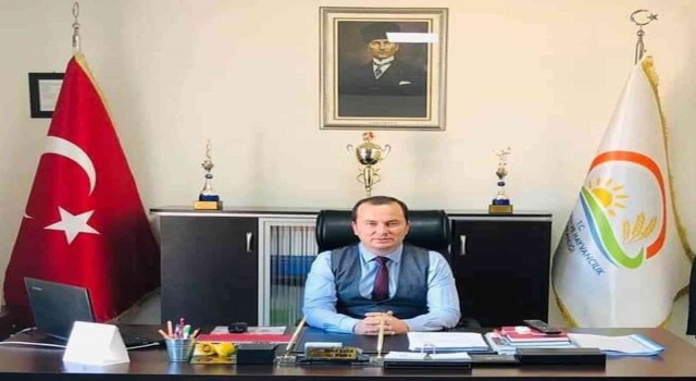 Zeytinde hasat sona erdi, üreticinin yüzü güldü