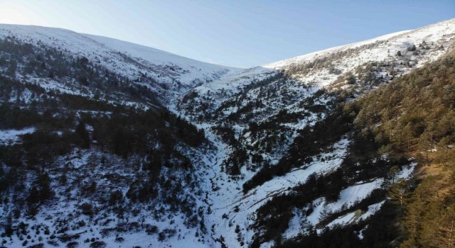 Ziganada yaşanan çığ felaketinin 14. yılında Zigana Dağı karsız kaldı