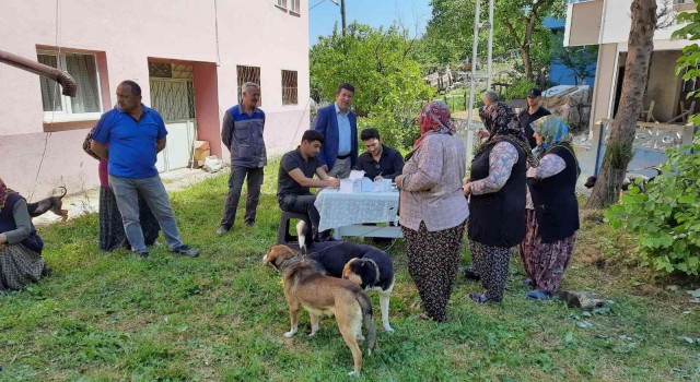 Zonguldakta 12 bin 655 evcil hayvana çip takıldı