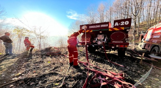 Zonguldakta orman yangını büyümeden söndürüldü