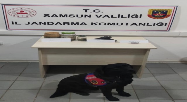 19 Mayısta uyuşturucu ve tabanca ele geçirildi