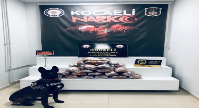 20 kilo uyuşturucuyu tırın yatak kısmına gizlemiş