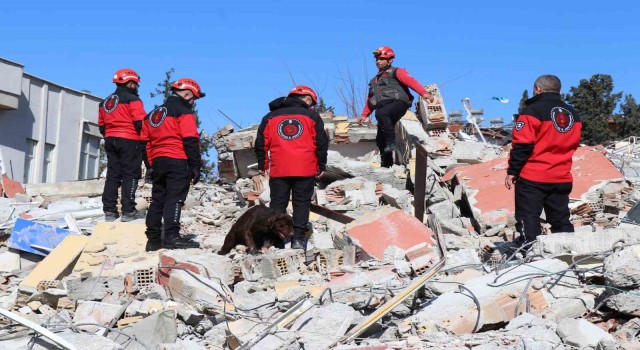 75 yaşındaki beyin cerrahı enkaz altında aranıyor