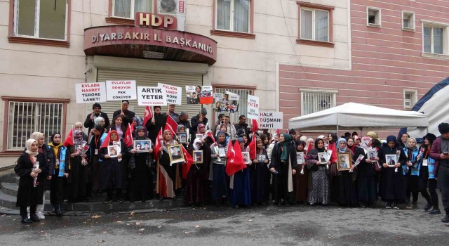9 yaşında çobanlık yaparken kaçırılan ağabeyini PKKdan istiyor