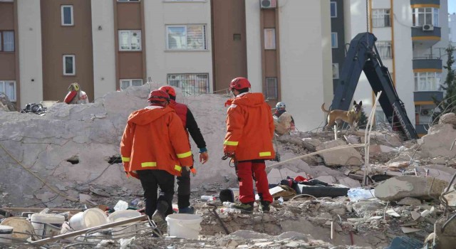 Adanada arama-kurtarma köpekleri çalışmalara katkı sağlıyor