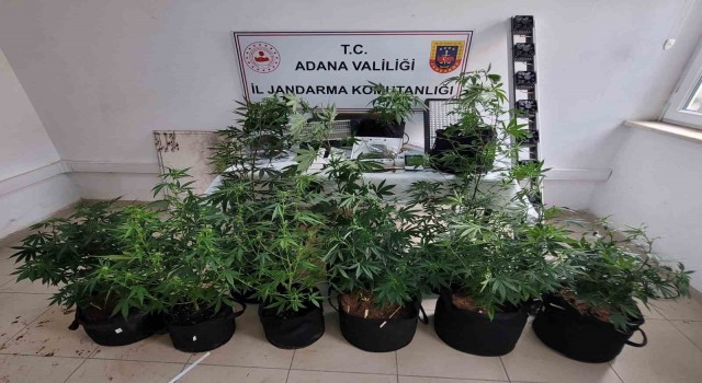 Adanada uyuşturucu operasyonu: 3 gözaltı