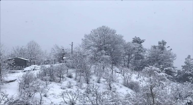 Adananın kuzey ilçeleri güne karla uyandı